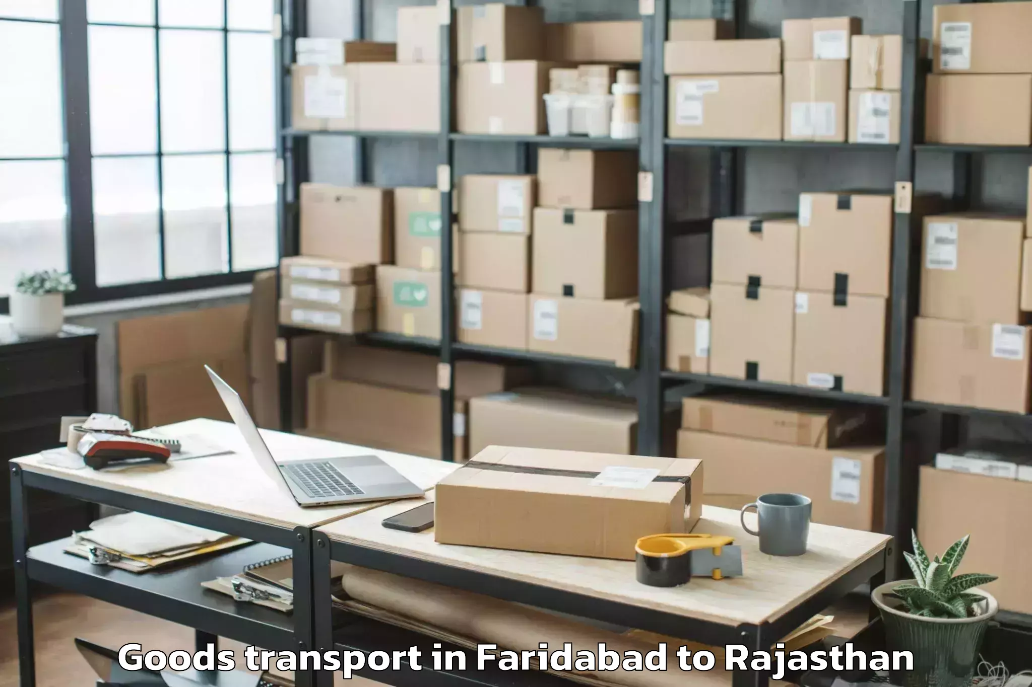 Trusted Faridabad to Rajsamand Goods Transport